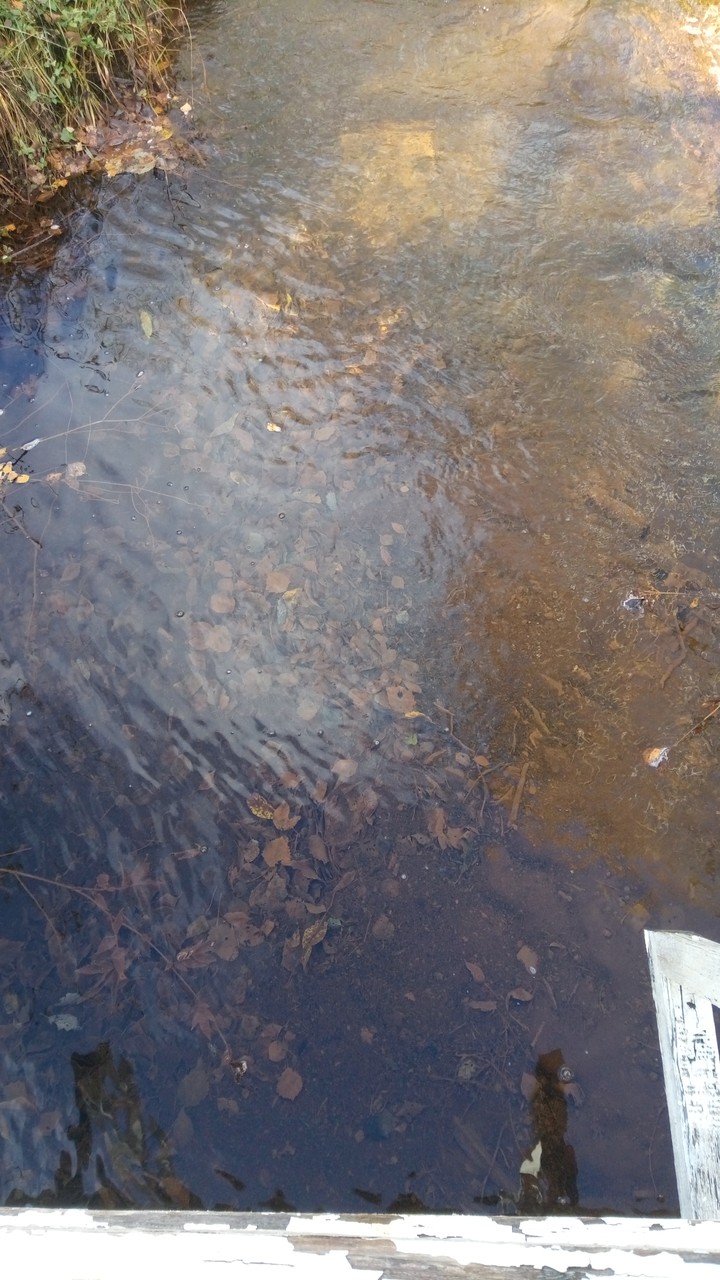 водда