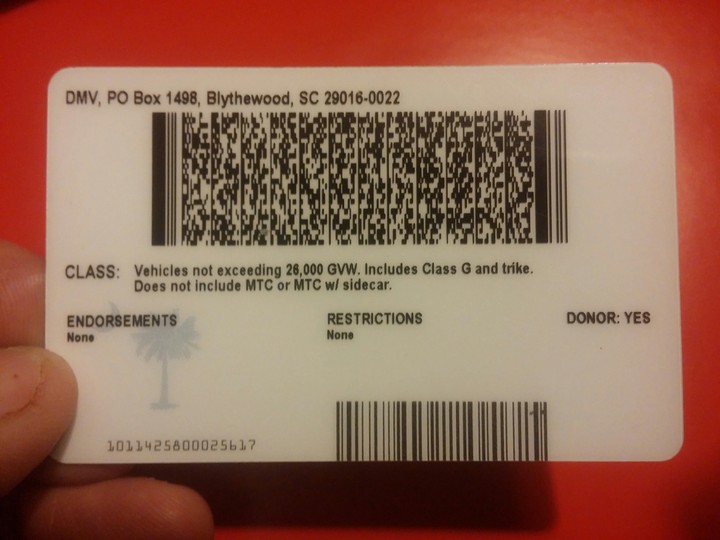 driver licence