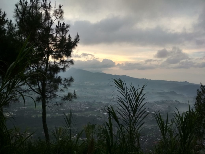 morning cloud