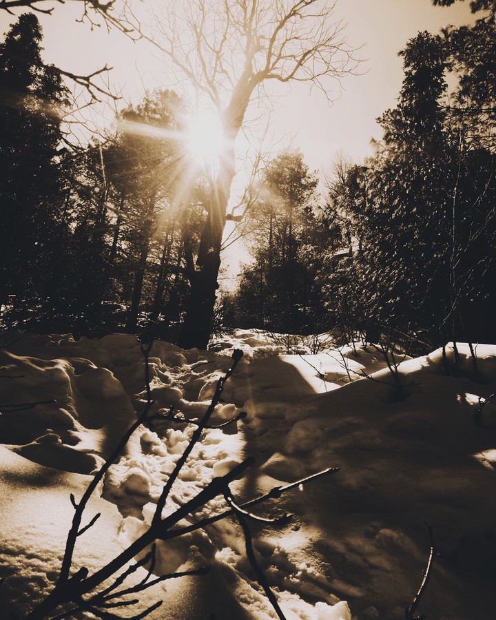 ice and fire