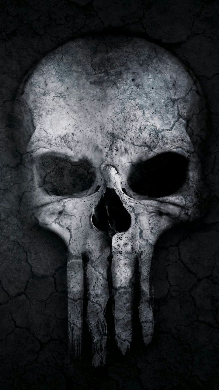 Punisher Skull Illustration