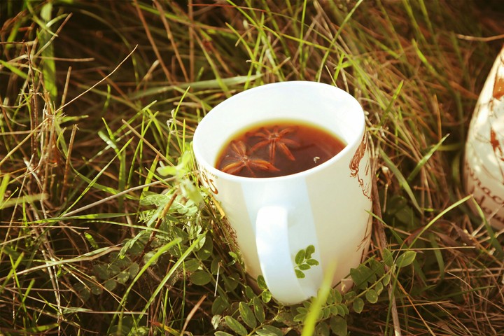 Tea.Nature.Mood