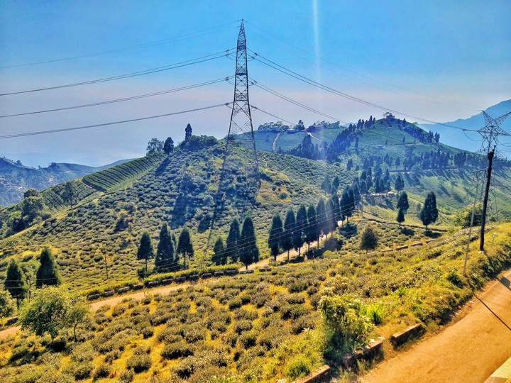 Playful Hills