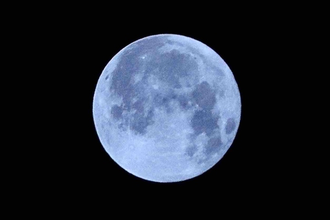 Bluemoon