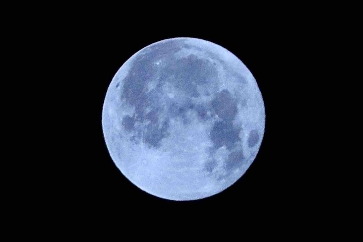 Bluemoon