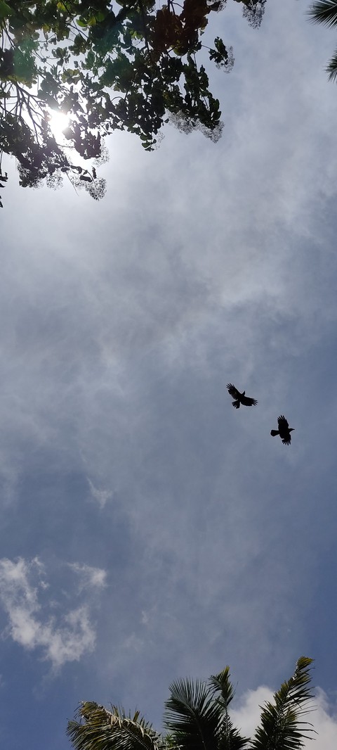 sky