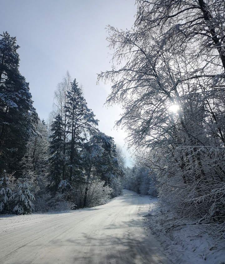 winter wonderland