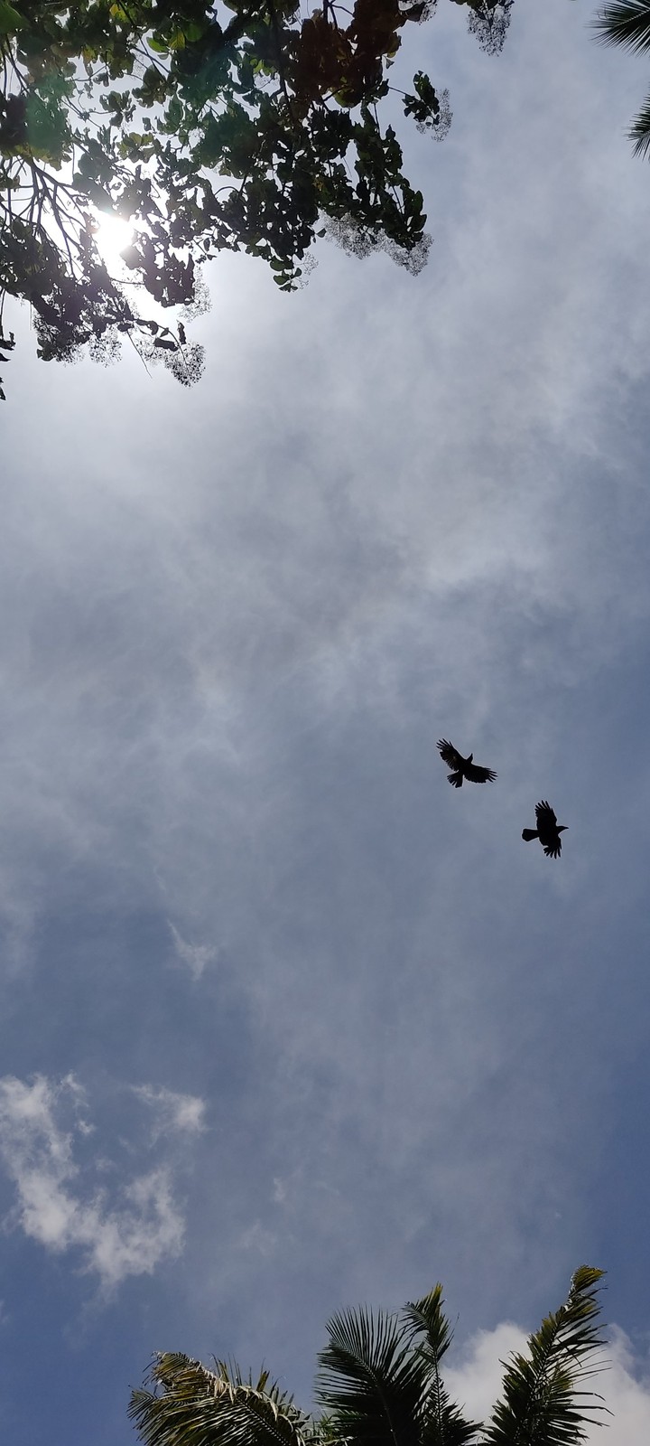 sky