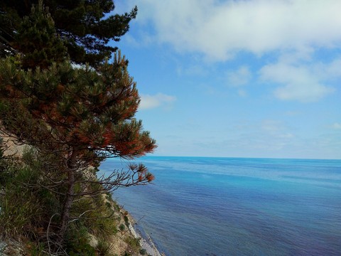 sea