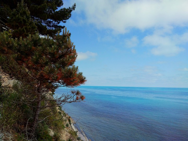 sea