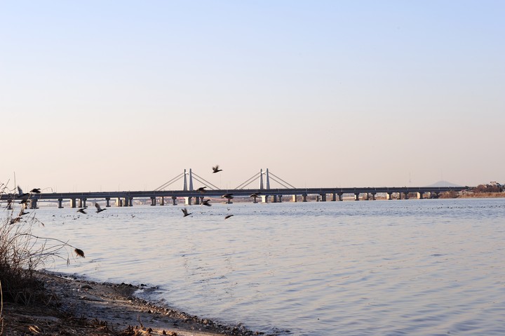 Bridge