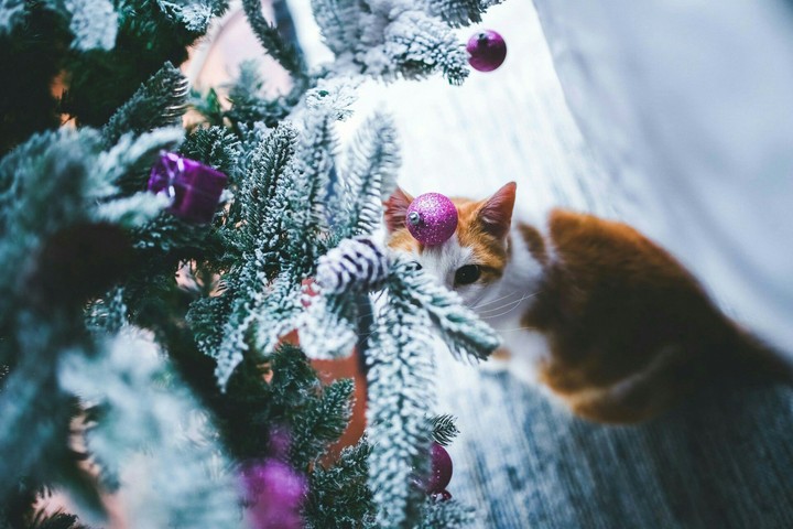 прикольно!)))