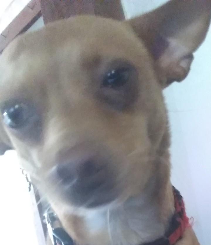 you looking at m