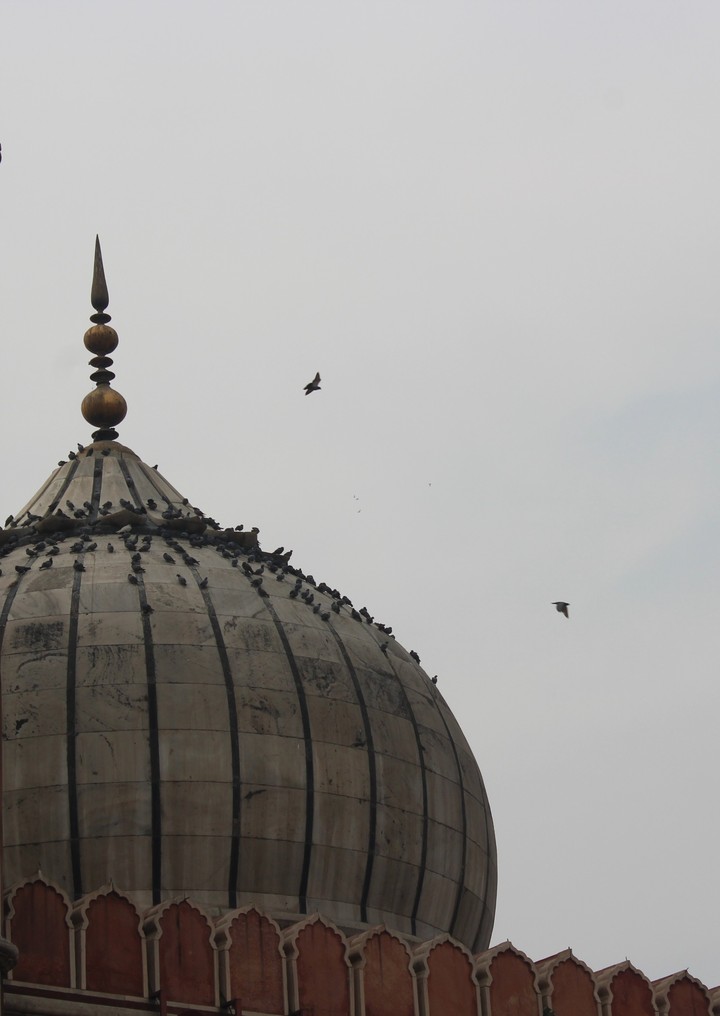 Khudaya..JamaMasjid