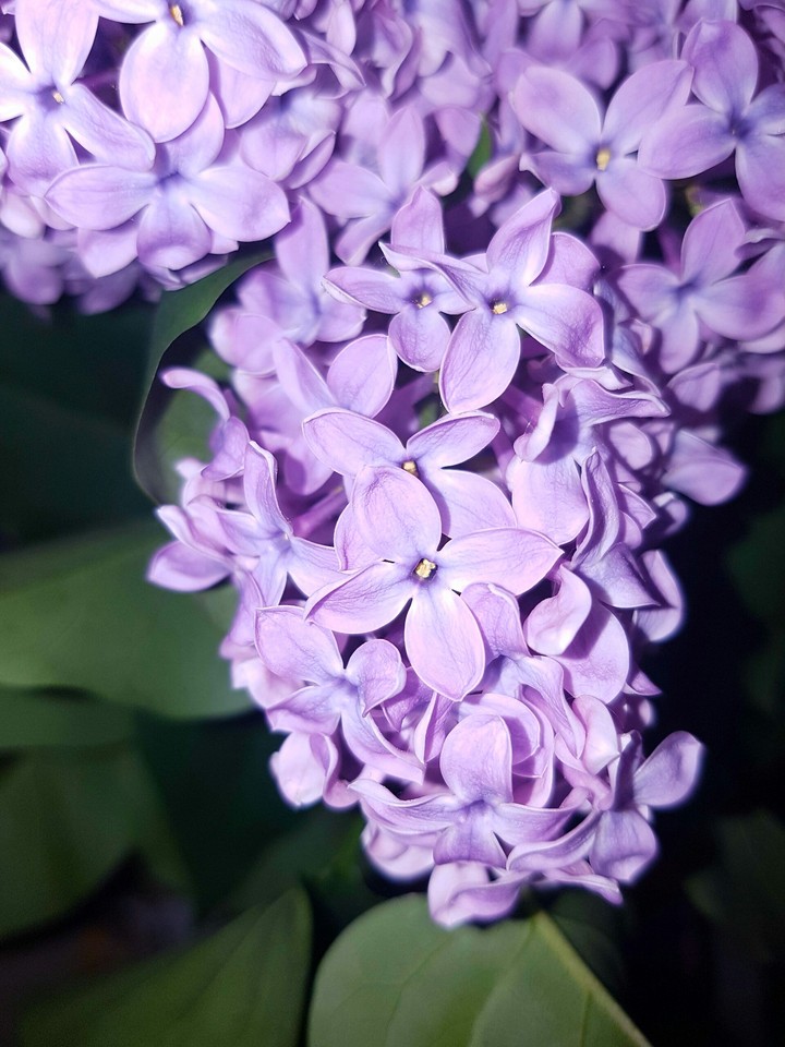 617