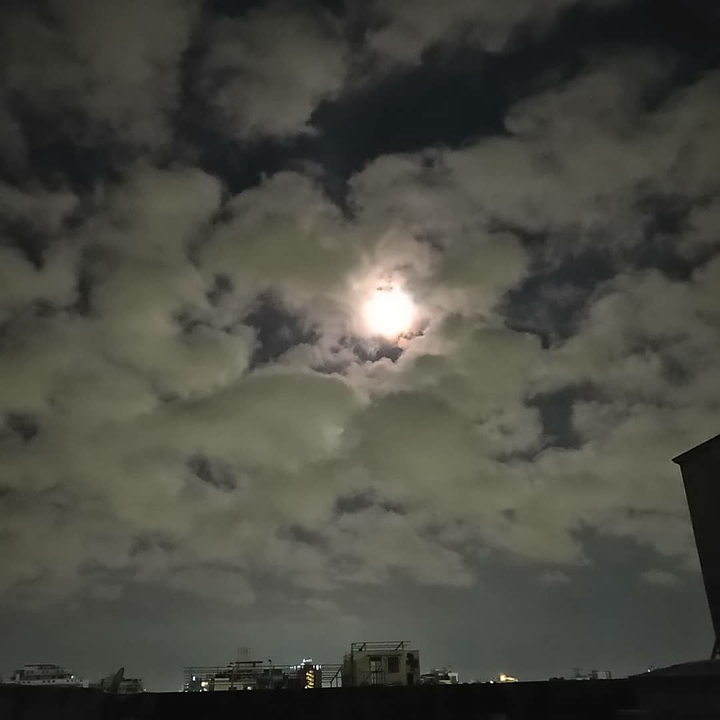 Moonlight