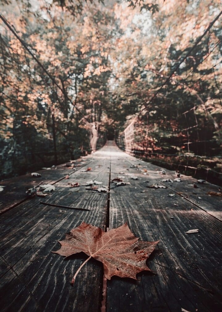 fall