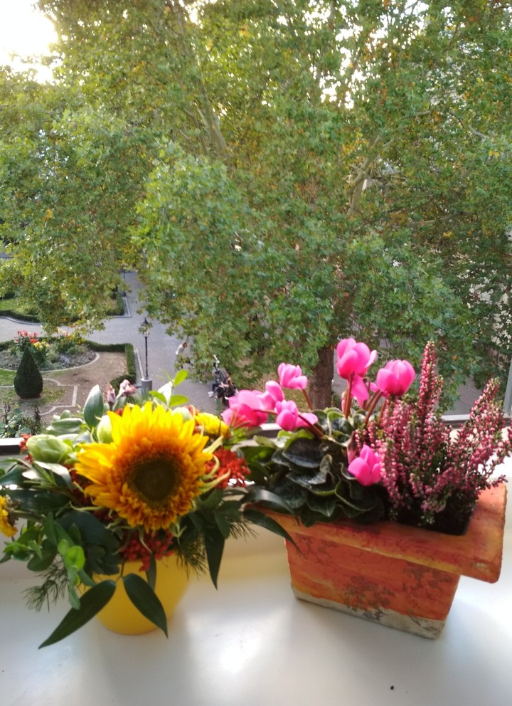 fresh flowers autumn beginning