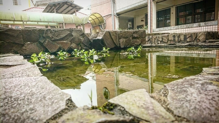 生態池