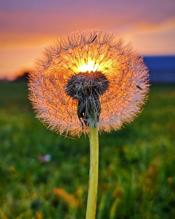 *