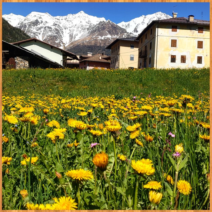 val di pejo