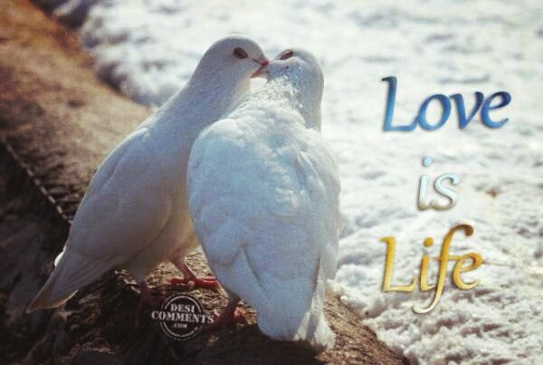 love