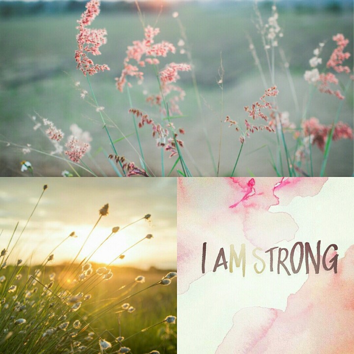 This is my photo. I'll love to take photo.❤