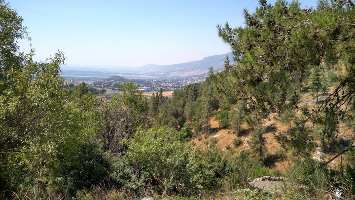 Tel Hai park
