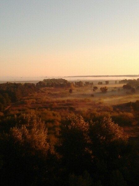 Осень