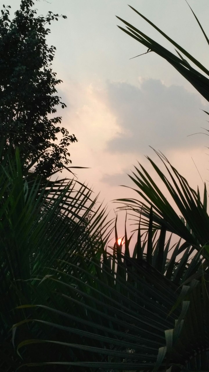 sun set