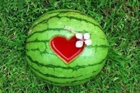 овд
