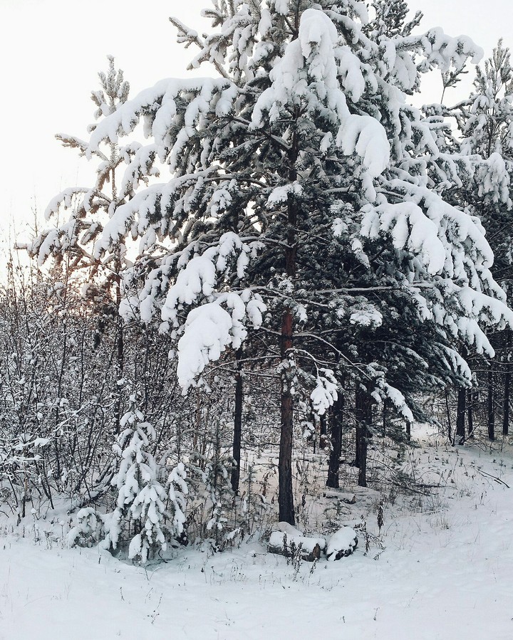 Winter. Siberia. Bratsk