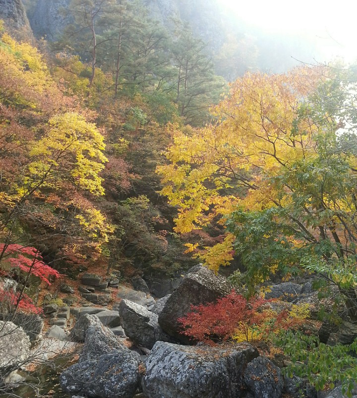가을풍경