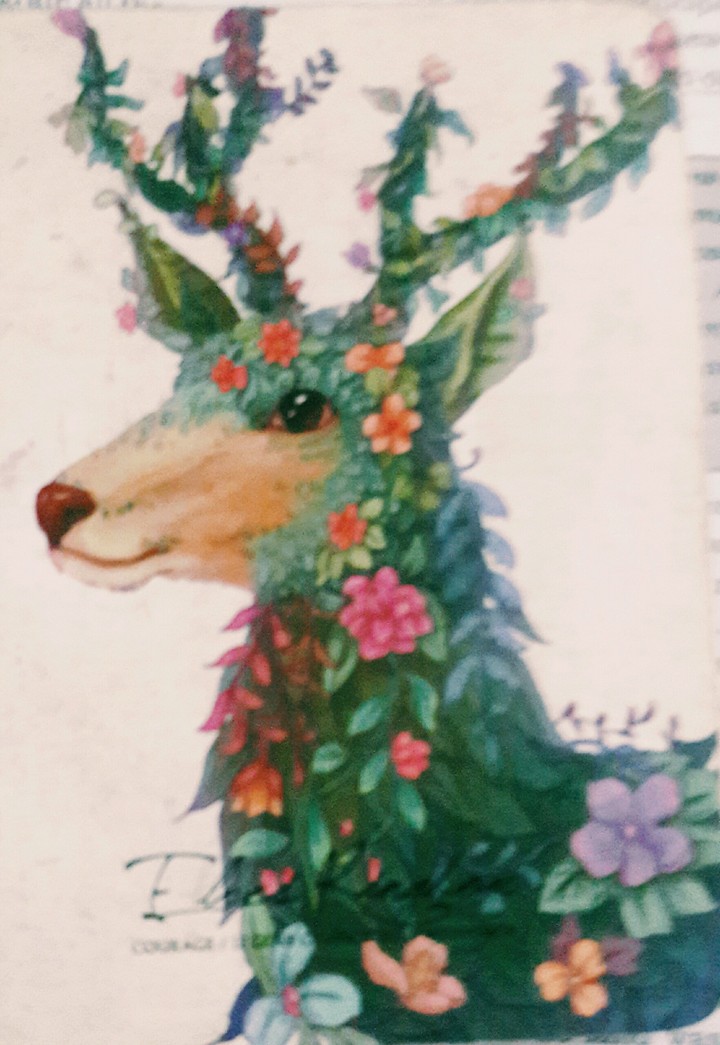 deer
