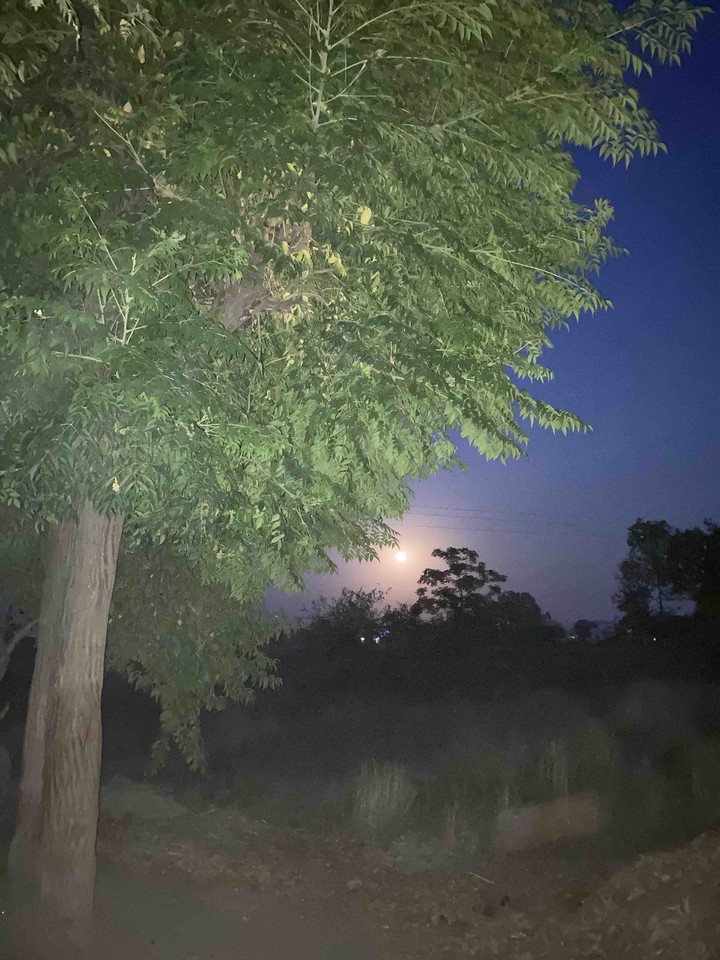 Red Moon
