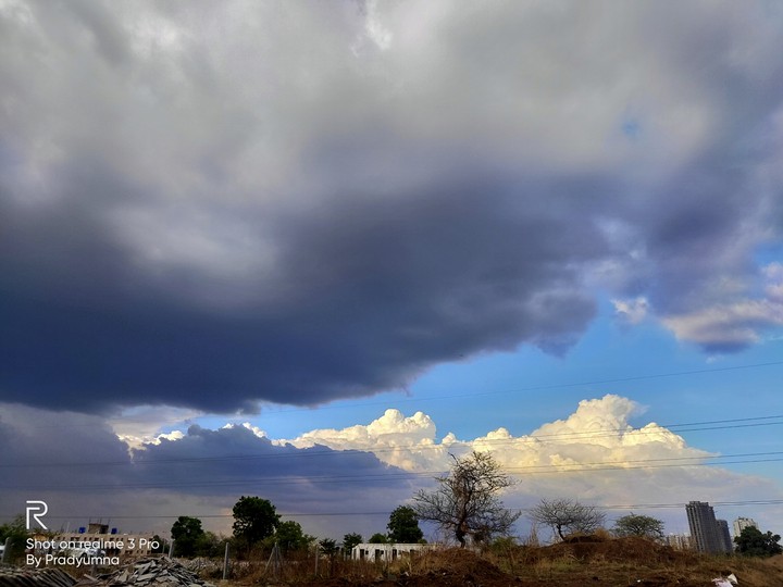 skies