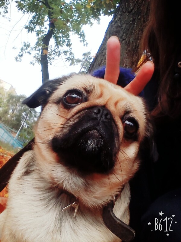 Molly