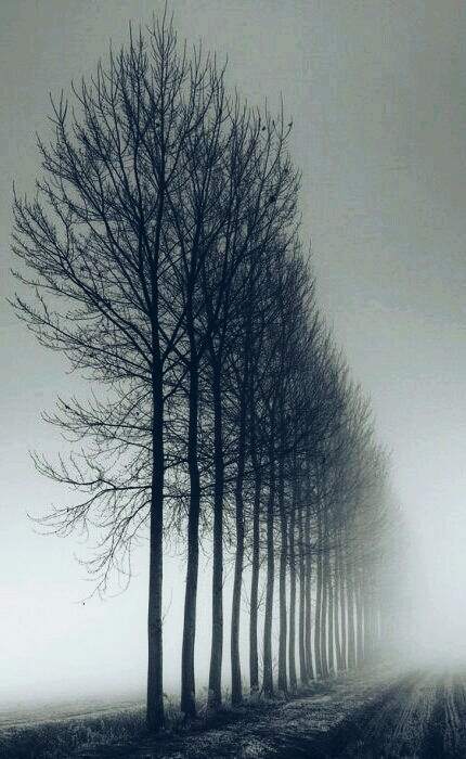 alone