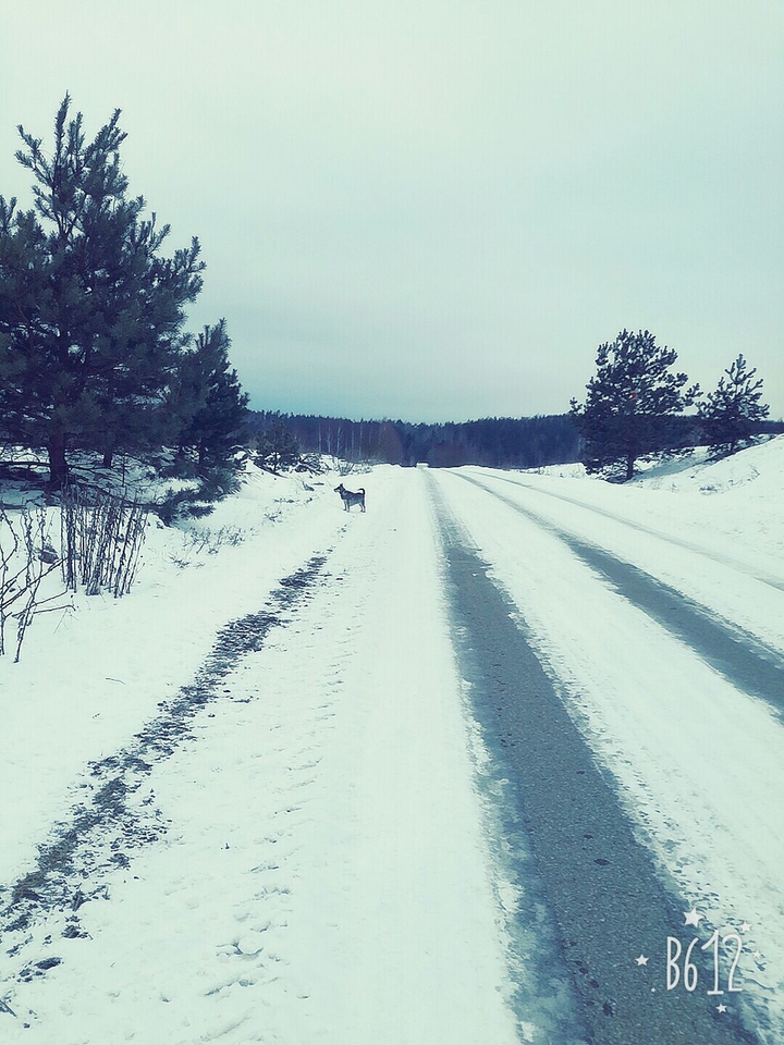 ❄ ZIMA ❄