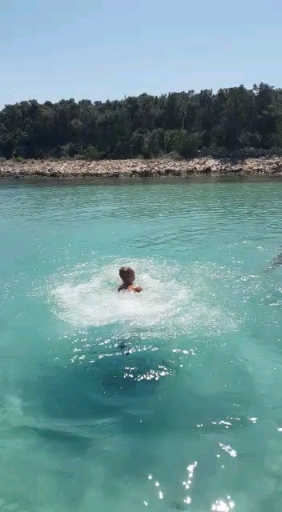 Paradaise