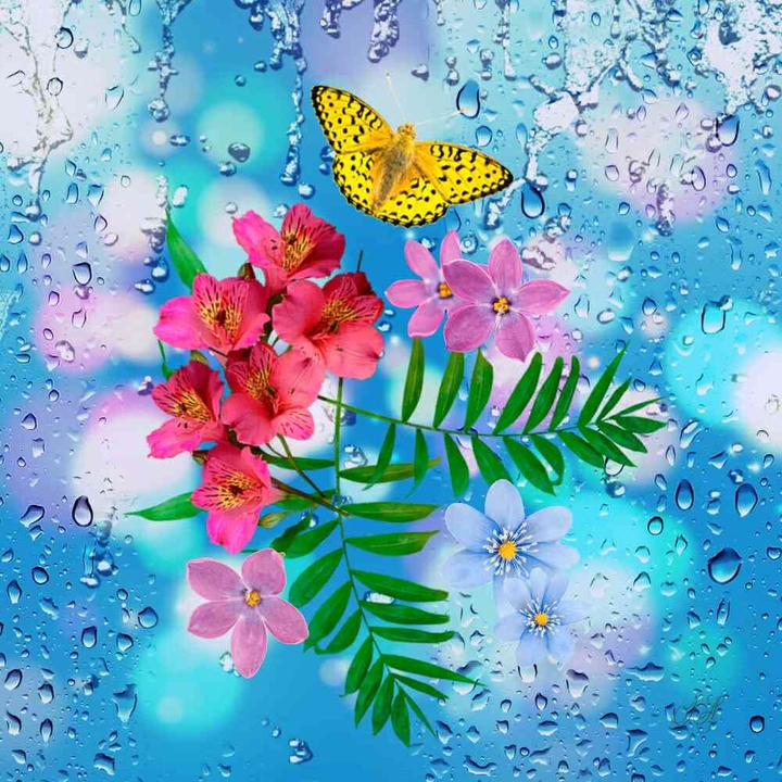 Flowers, Baterffy & water.