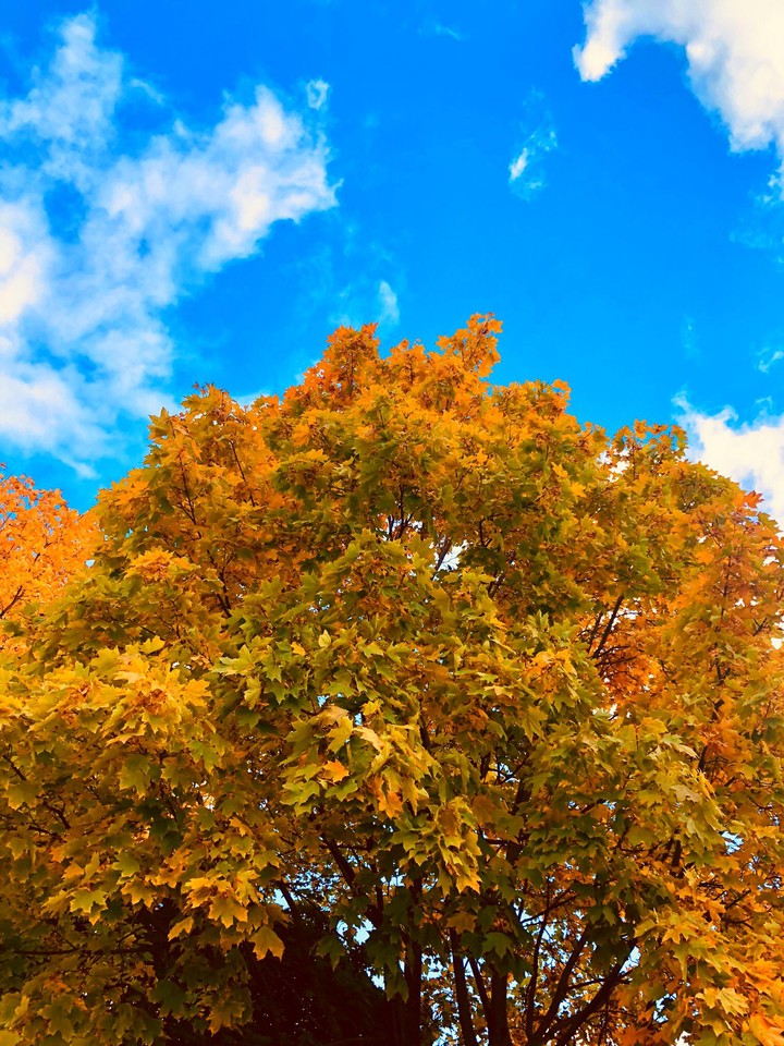 autumn