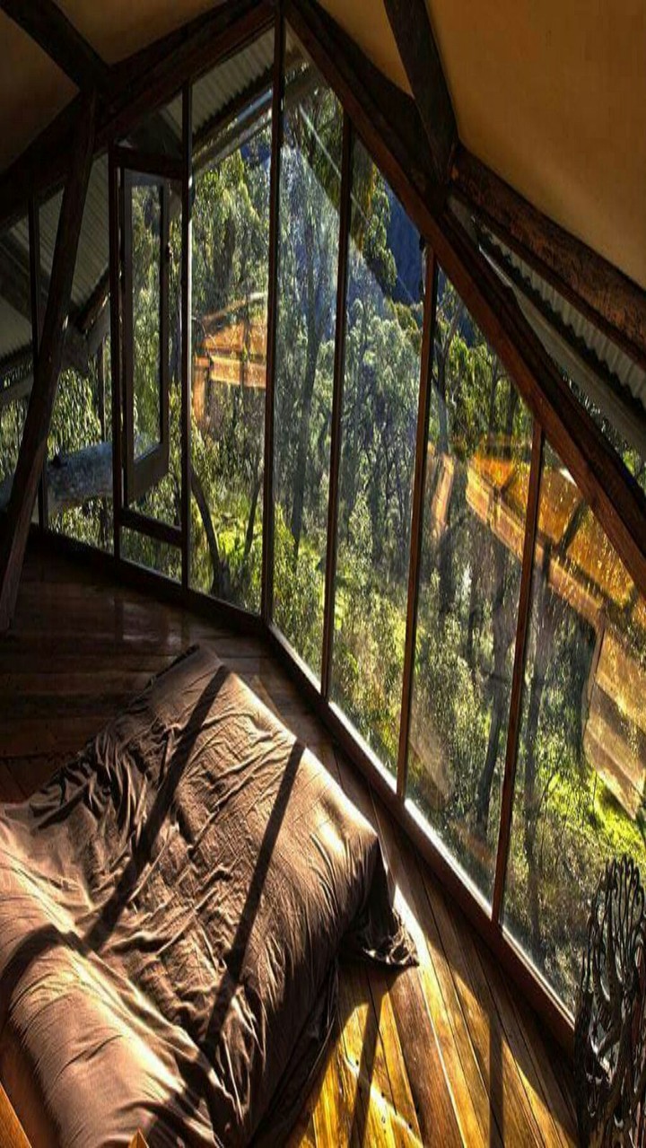 nature
