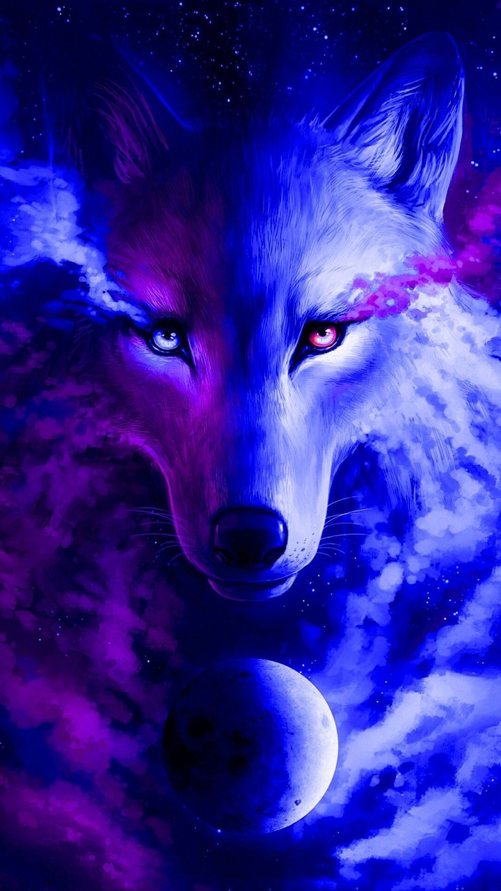 wolf
