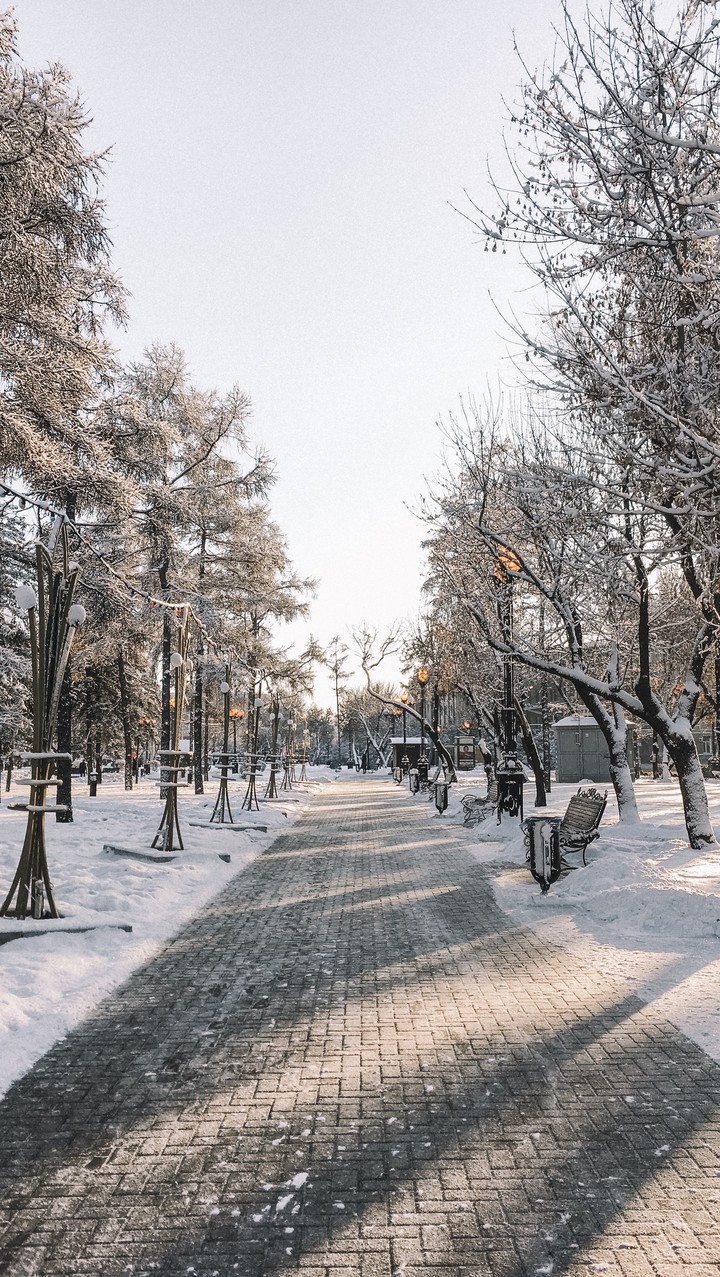 Winter Irkutsk