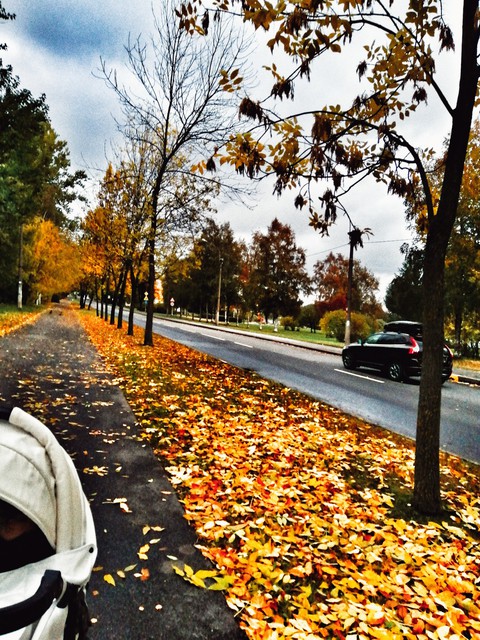 road