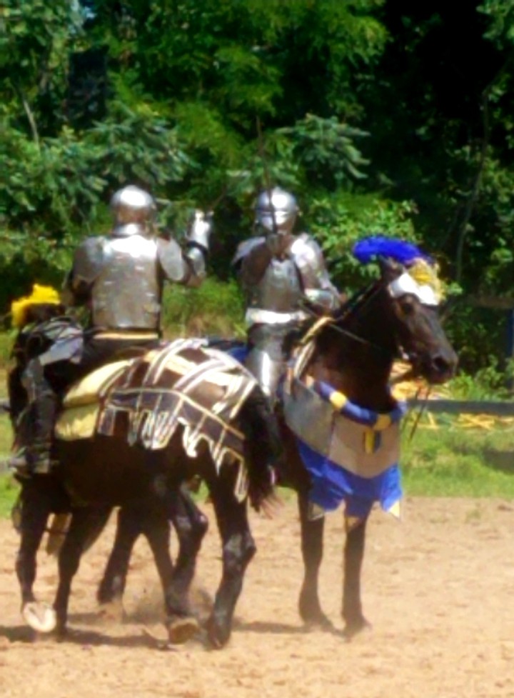 renaissance festival