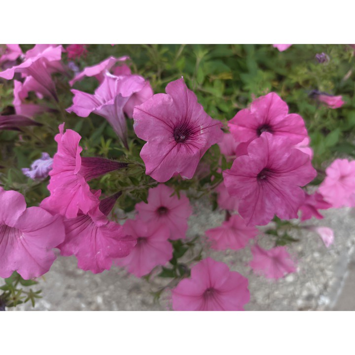 #Україна #літо #summer  2021