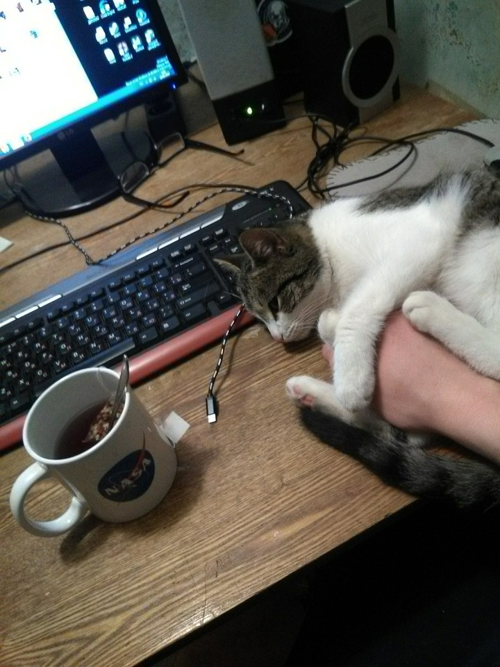 Котейк