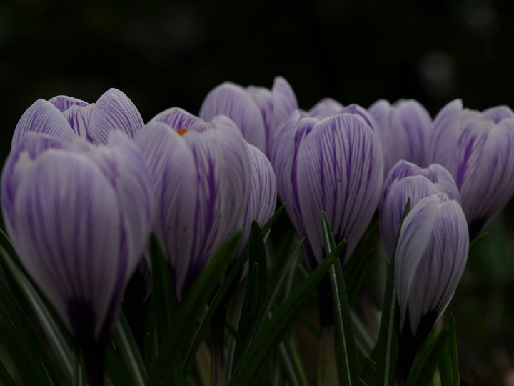 spring feelings